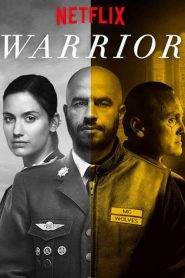 Warrior – La guerra in casa